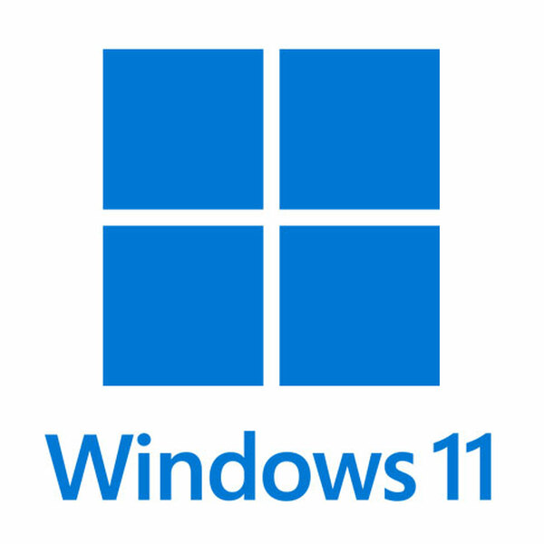 Windows 11